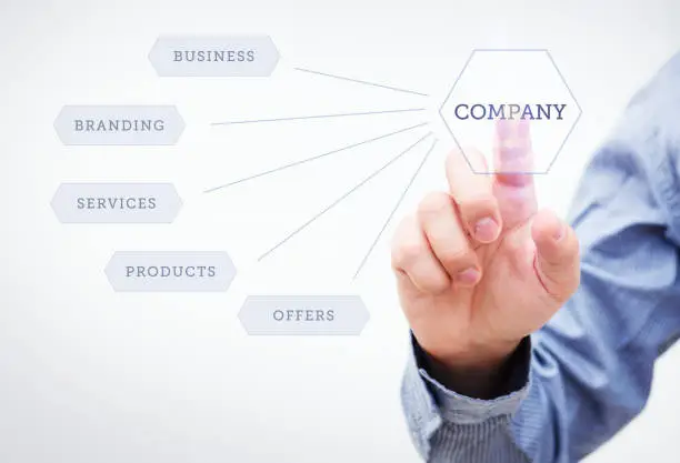 أكثر أنواع الشركات شيوعاً في مصر (2025) اختيار الكيان الأنسب