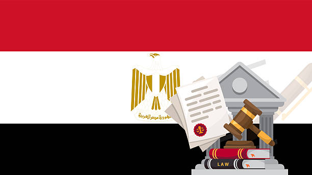Affordable Litigation Services Egypt 2025 | Sadany