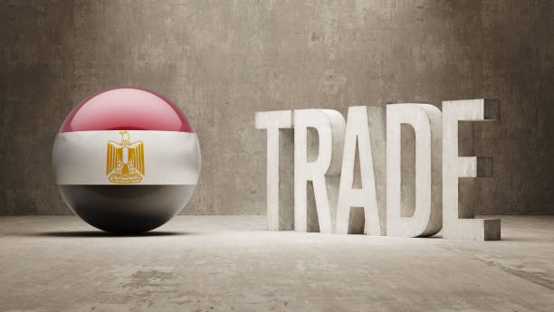 Foreign Office Registration in Egypt | GOEIC Requirements & Procedures