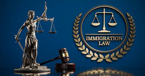 خدمات قانونية دولية من مصر | دعم التوسع الخارجي